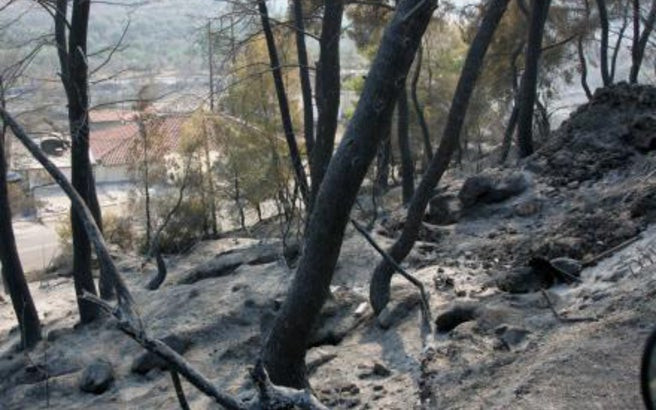 Ἔκτακτη οἰκονομική ἐνίσχυση τῶν πυροπλήκτων από τον Μητροπολίτη Κηφισίας, Ἀμαρουσίου καί Ὠρωποῦ